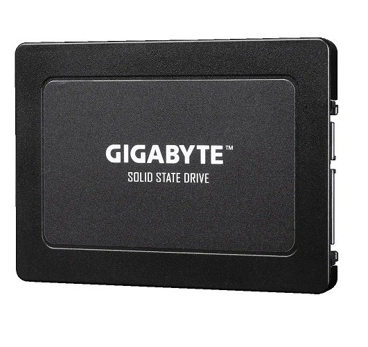 Gigabyte GP-GSTFS31960GNTDV Solid State Drive